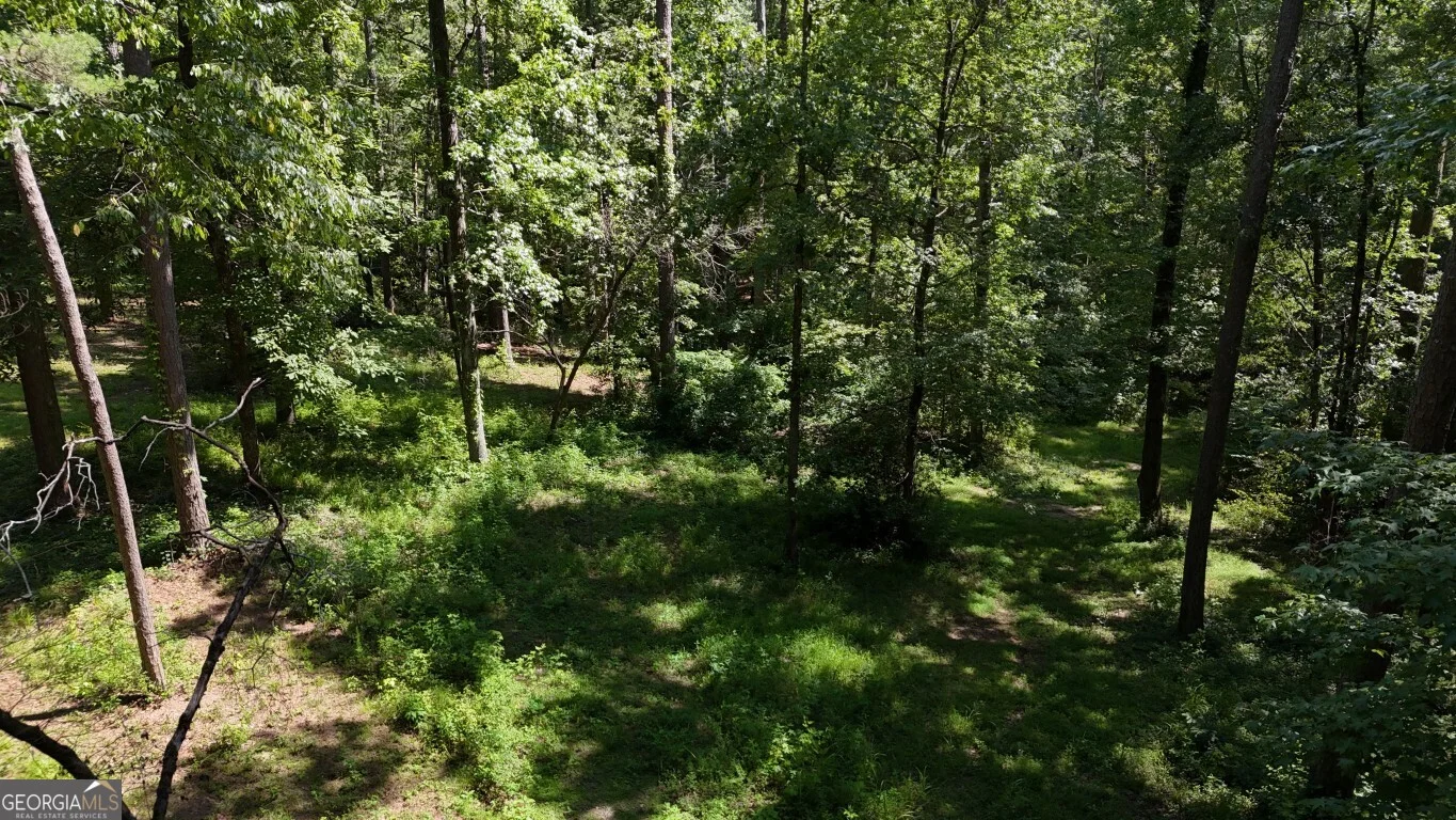 115-LOT 101/ PA Shoal Creek Drive