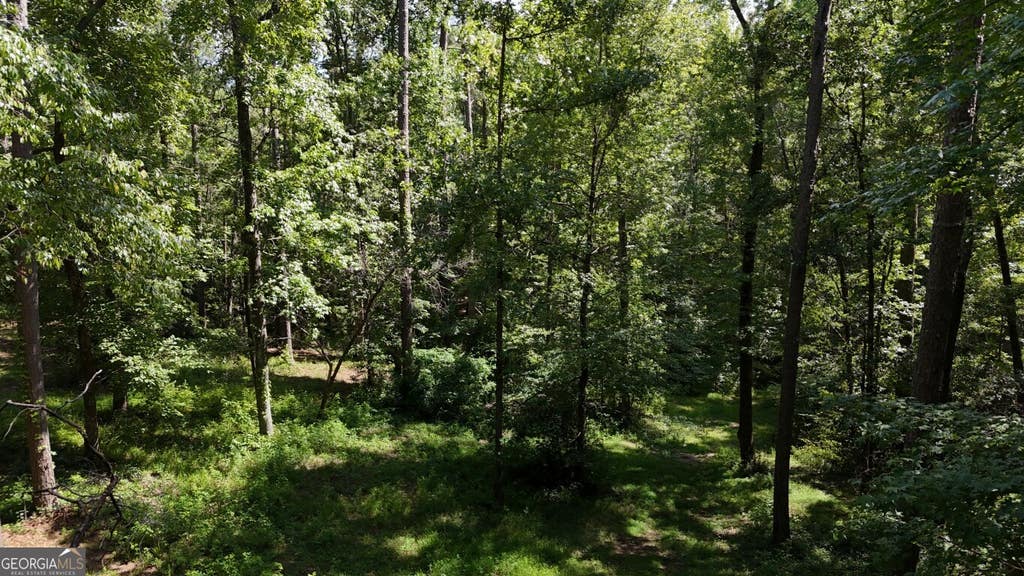 Photo of 115101 Shoal Creek Dr, Sharpsburg, GA 30277 (MLS # 10809088)