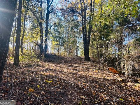 Photo of 0 County Road 138 #LOT 11, Opelika, AL 36804 (MLS # 10366159)