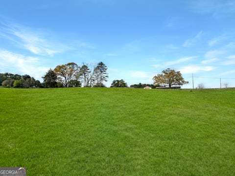 Photo of 0 Gooseneck Road, Eastanollee, GA 30538 (MLS # 10806624)