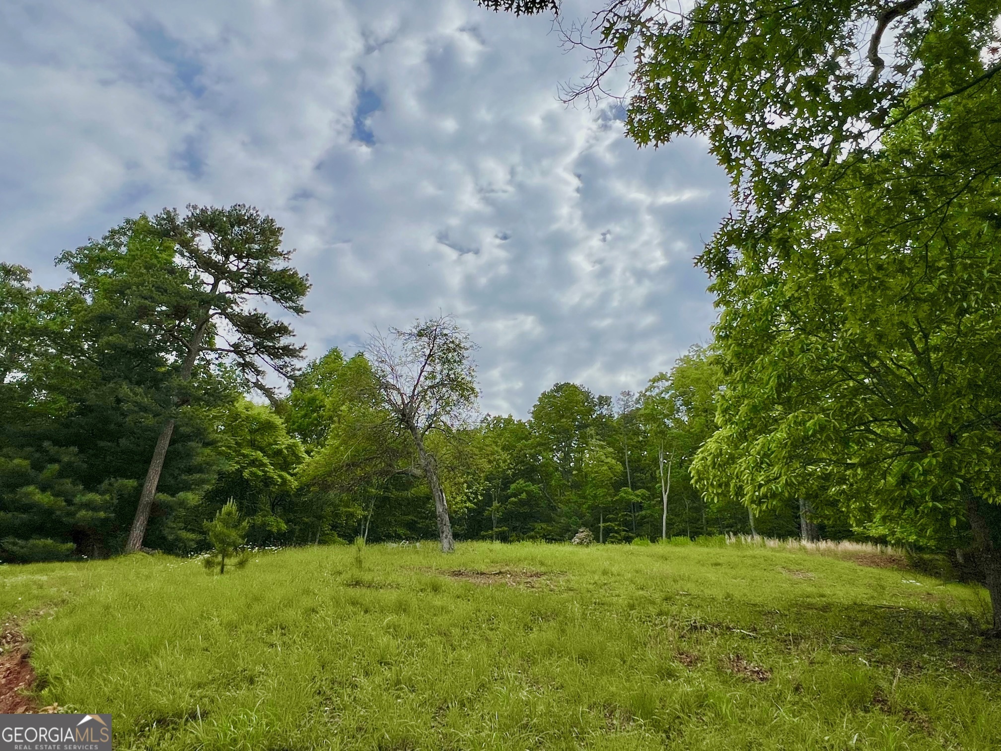 788 Beavers DR