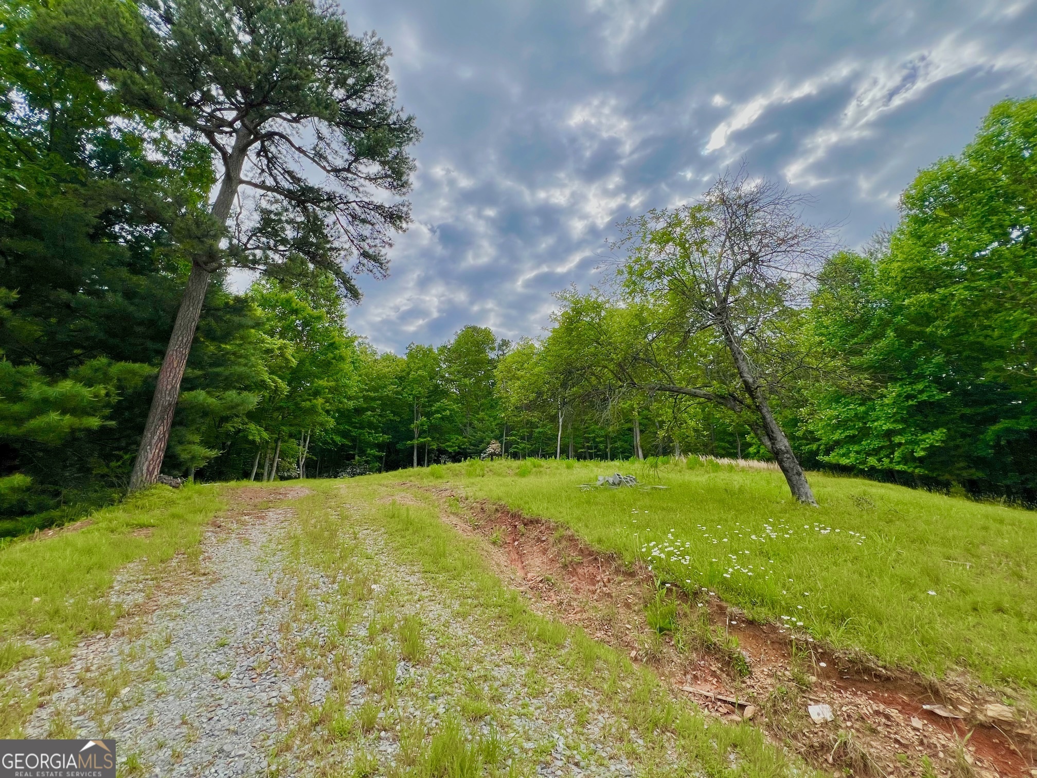788 Beavers DR