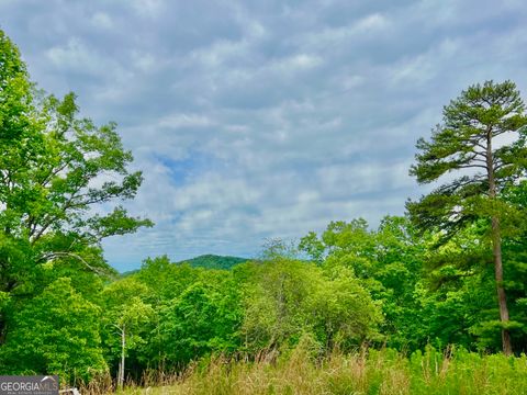788 Beavers DR Morganton GA 30560