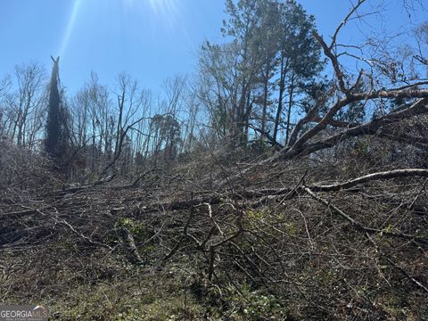 0 Wragler LN Hazlehurst GA 31539