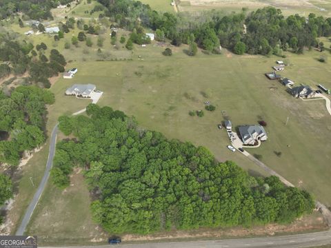 Photo of 224 Scott Road, Elko, GA 31025 (MLS # 10723237)