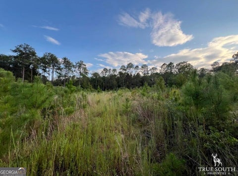 Photo for TBD Bedsole Rd