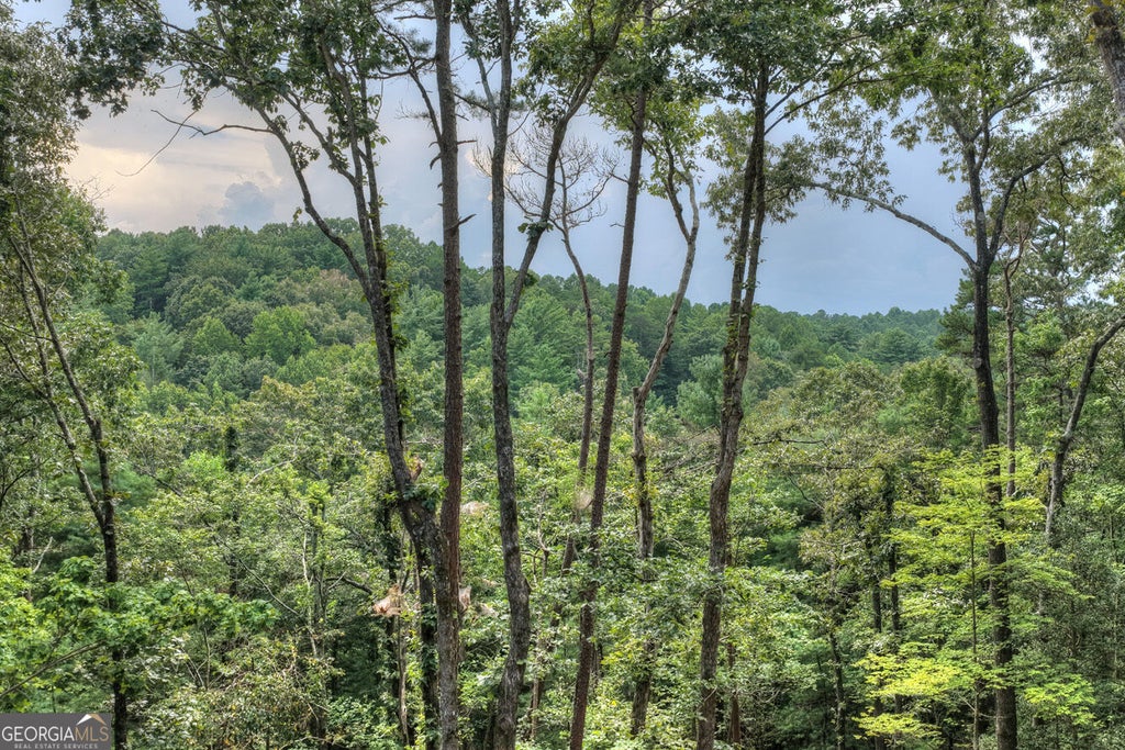 Photo of 394 Blackberry Circle, Ellijay, GA 30536 (MLS # 10828230)