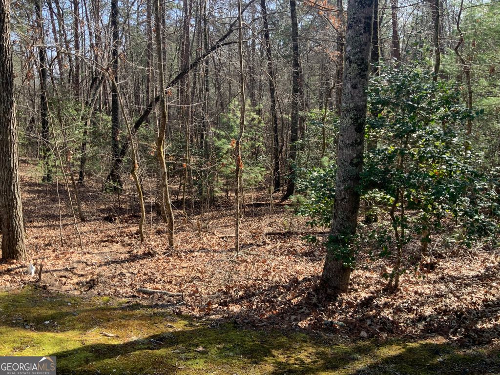 Photo of 3 RIZZITELLO LN, BLAIRSVILLE, GA 30512 (MLS # 10696259)