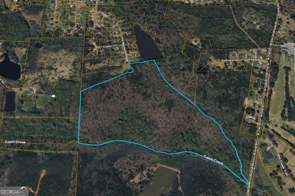 Photo of 132 Little Big Horn Road, Griffin, GA 30223 (MLS # 10655007)