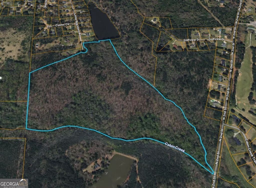 Photo of 132 Little Big Horn Road, Griffin, GA 30223 (MLS # 10655007)