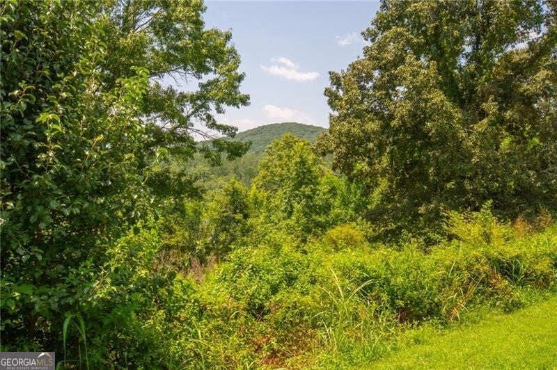 LOT A Porter Springs Road