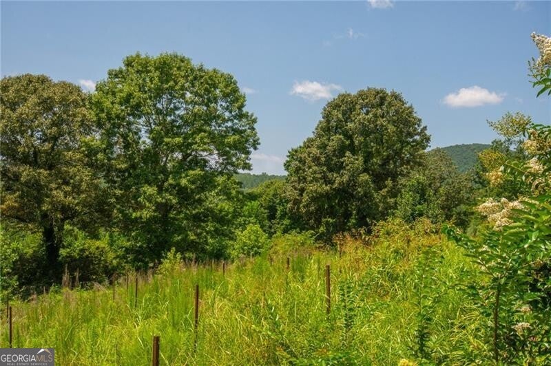 LOT A Porter Springs Road