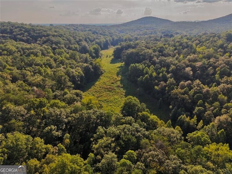 LOT A Porter Springs RD