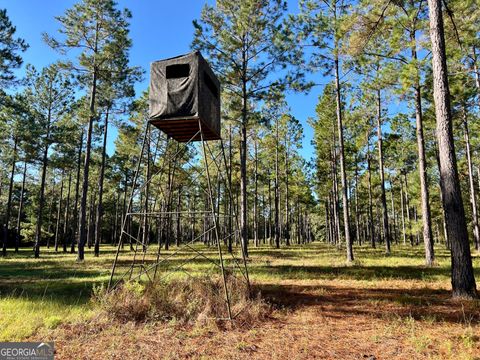 Photo of 0 Lower River Road, Hawkinsville, GA 31036 (MLS # 10627946) Photo of 0 Lower River Road, Hawkinsville, GA 31036 (MLS # 10627946)