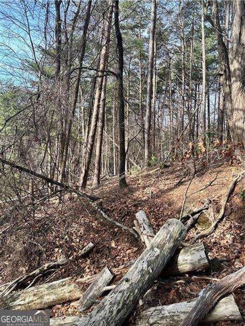 0 Log Swamp Dr. DR Jasper GA 30143