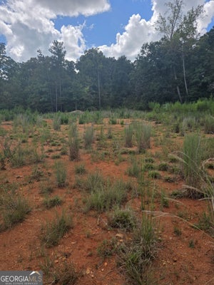 890 FORRESTER CEMETERY RD, COVINGTON, GA 30014 - Image 9f2bdd3e76fe4d75893ec9a0f2eefb35/2765953292