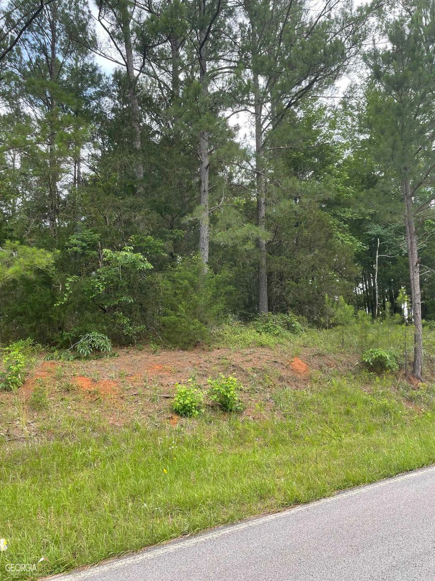 5 wooded acres - a blank slate ready for your perfect home! - Rosemont, Long Cane , Troup schools - No covenants and restrictions