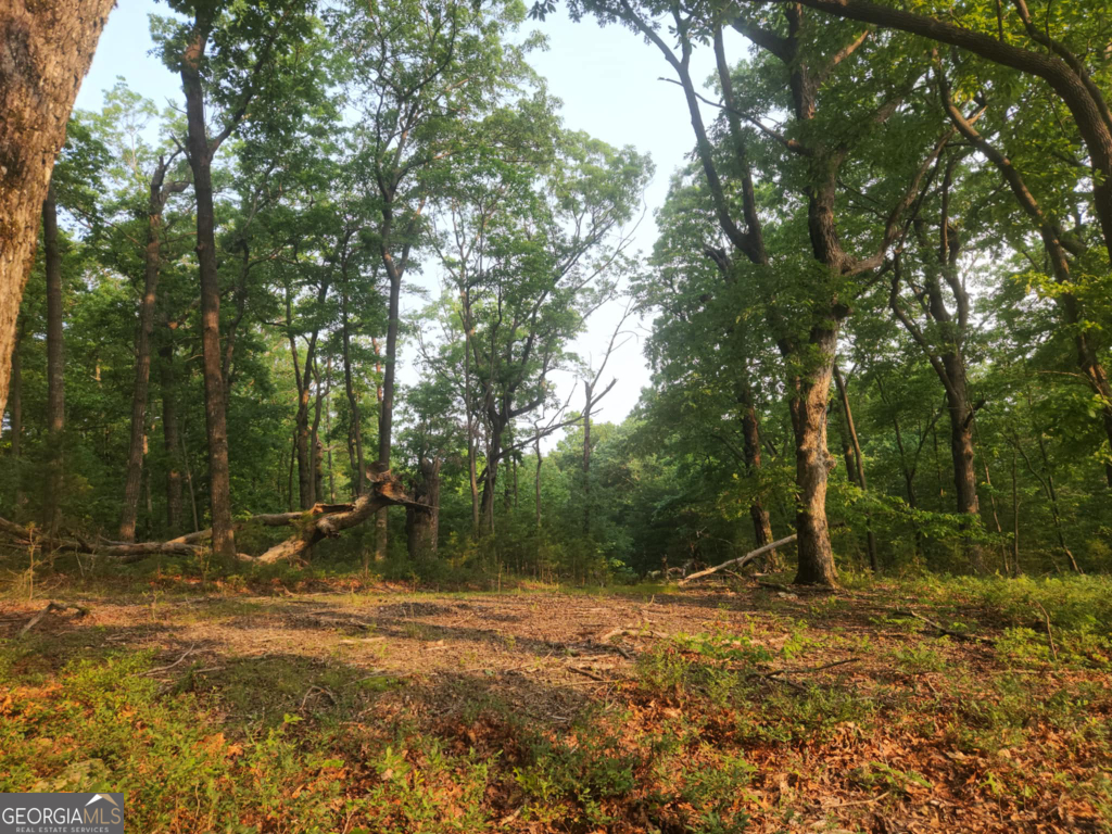 The Preserve At Sharp Mountain - Land
