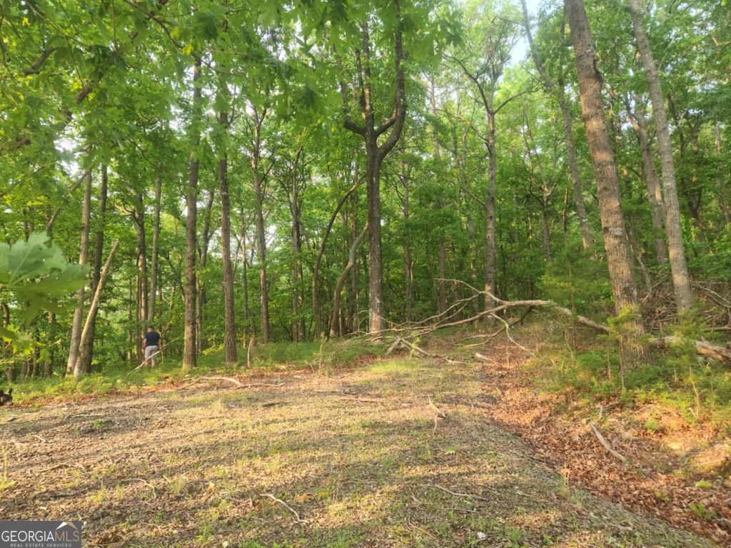 The Preserve At Sharp Mountain - Land