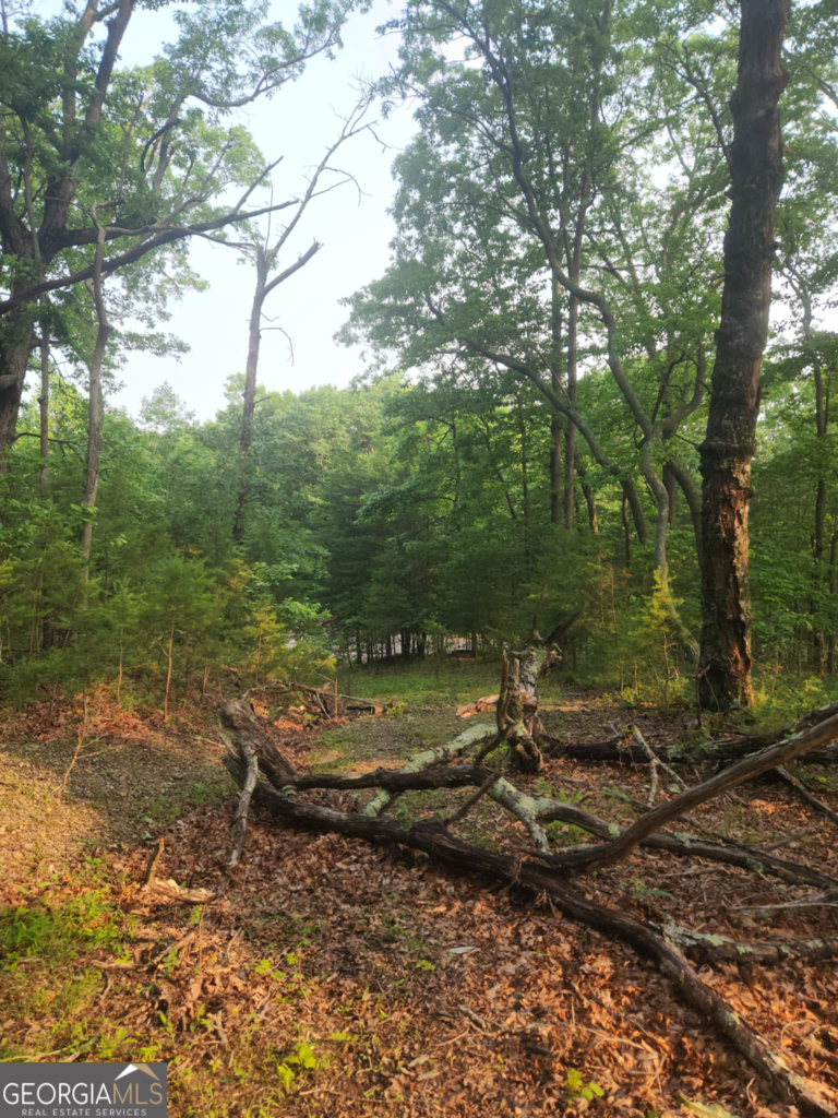 The Preserve At Sharp Mountain - Land