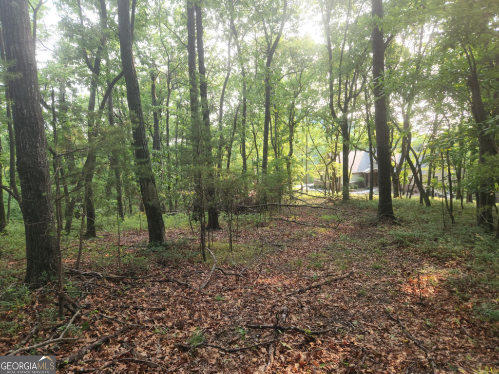 The Preserve At Sharp Mountain - Land