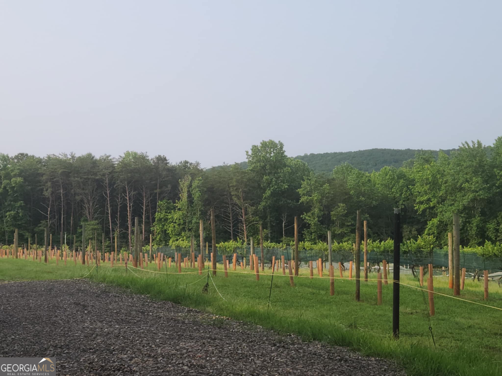 The Preserve At Sharp Mountain - Land
