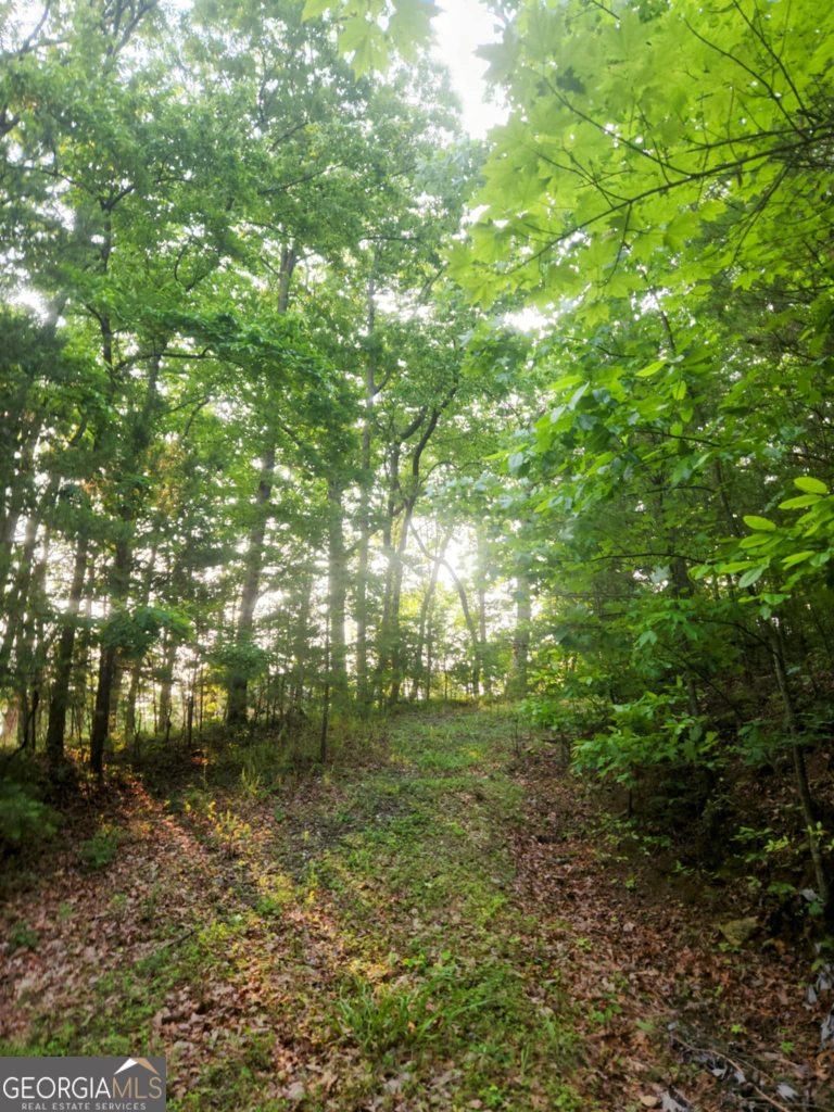 The Preserve At Sharp Mountain - Land