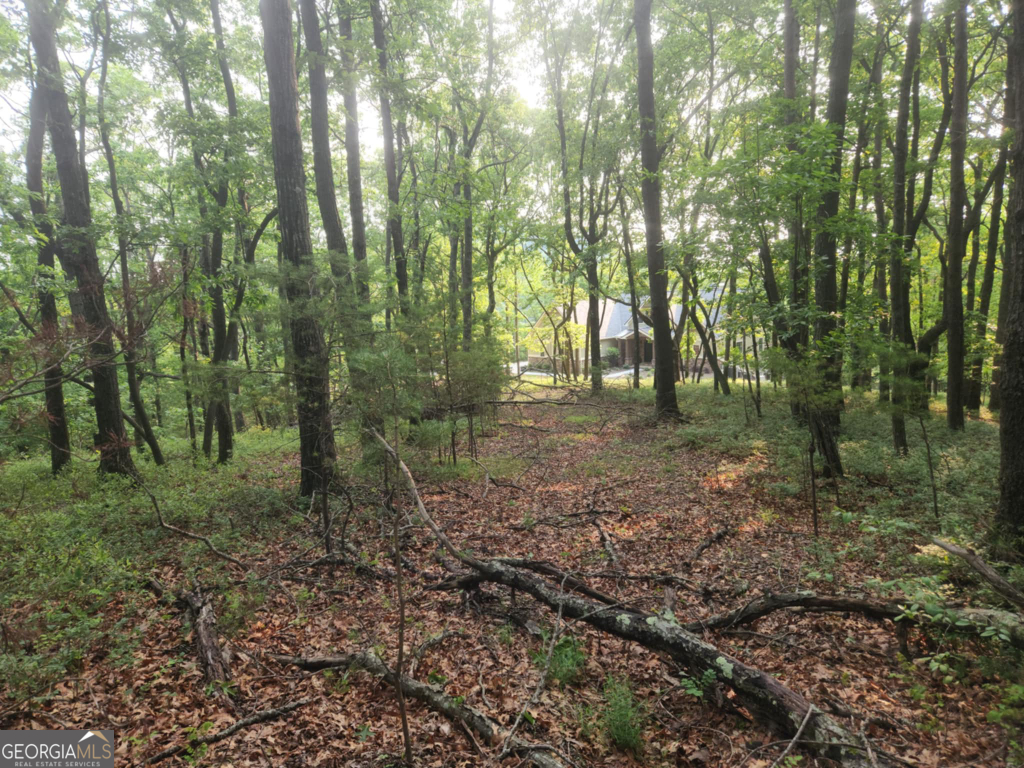 The Preserve At Sharp Mountain - Land