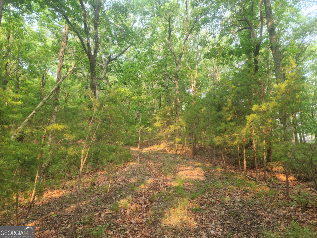 The Preserve At Sharp Mountain - Land