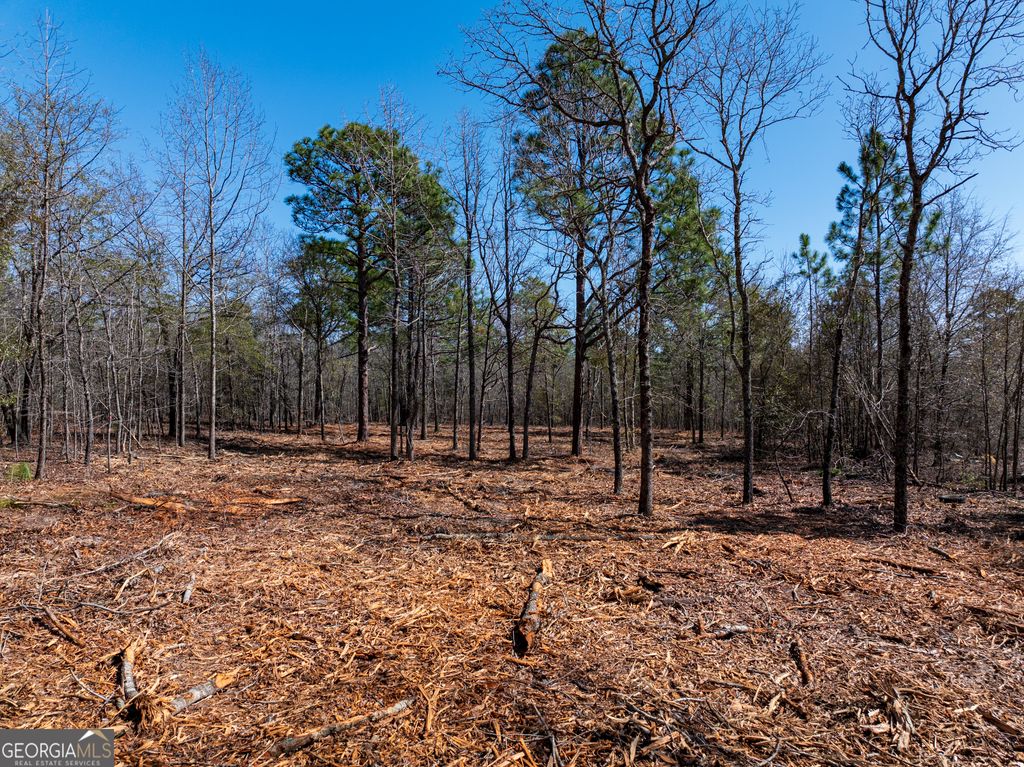Photo of 105 River Road #LOT 1, Waynesboro, GA 30830 (MLS # 10702570)