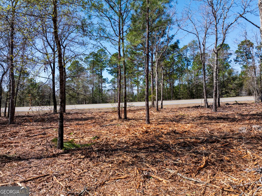 Photo of 105 River Road #LOT 1, Waynesboro, GA 30830 (MLS # 10702570)