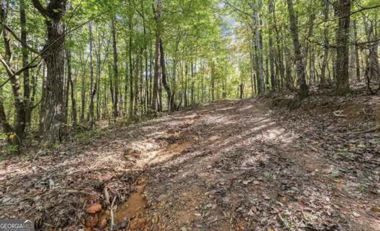 LOT 24 Luther Palmer RD