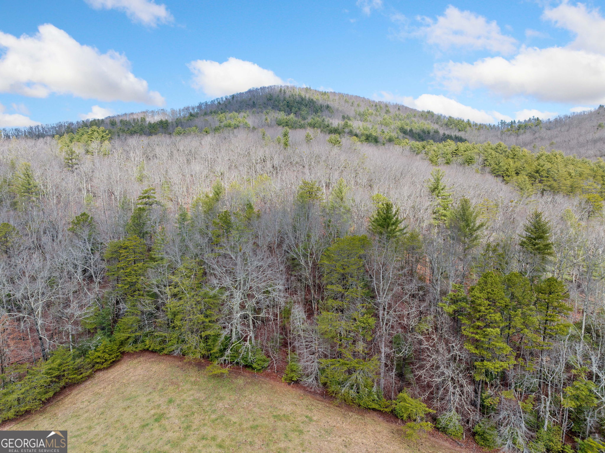 Blairsville, Georgia 30512, United States, ,Land,Active,4828