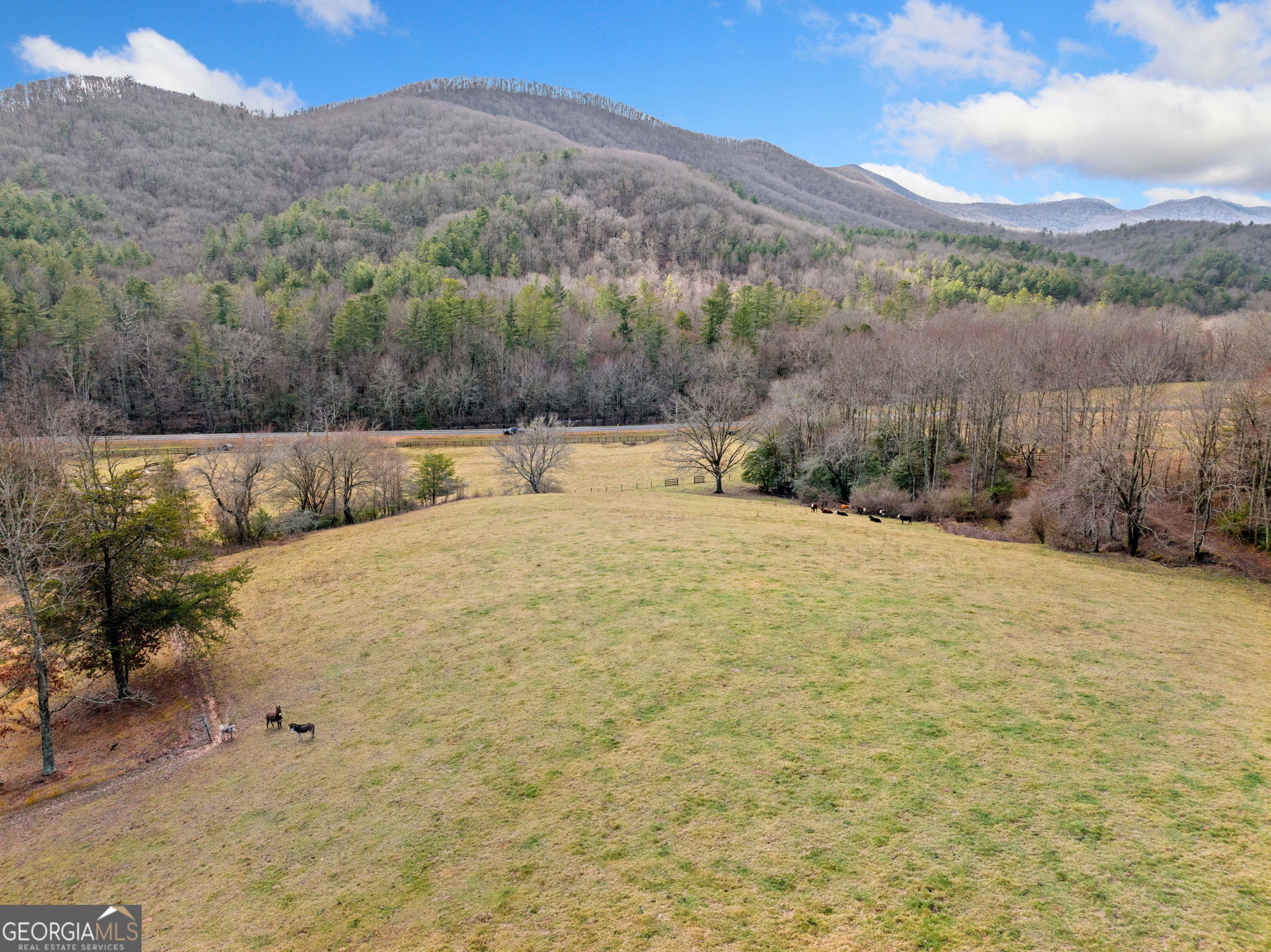 Blairsville, Georgia 30512, United States, ,Land,Active,4828