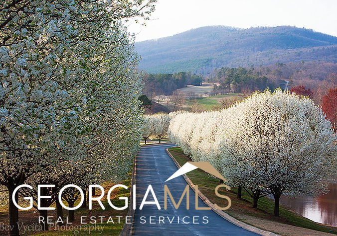 Clarkesville, Georgia 30523, United States, ,Land,Active,38682