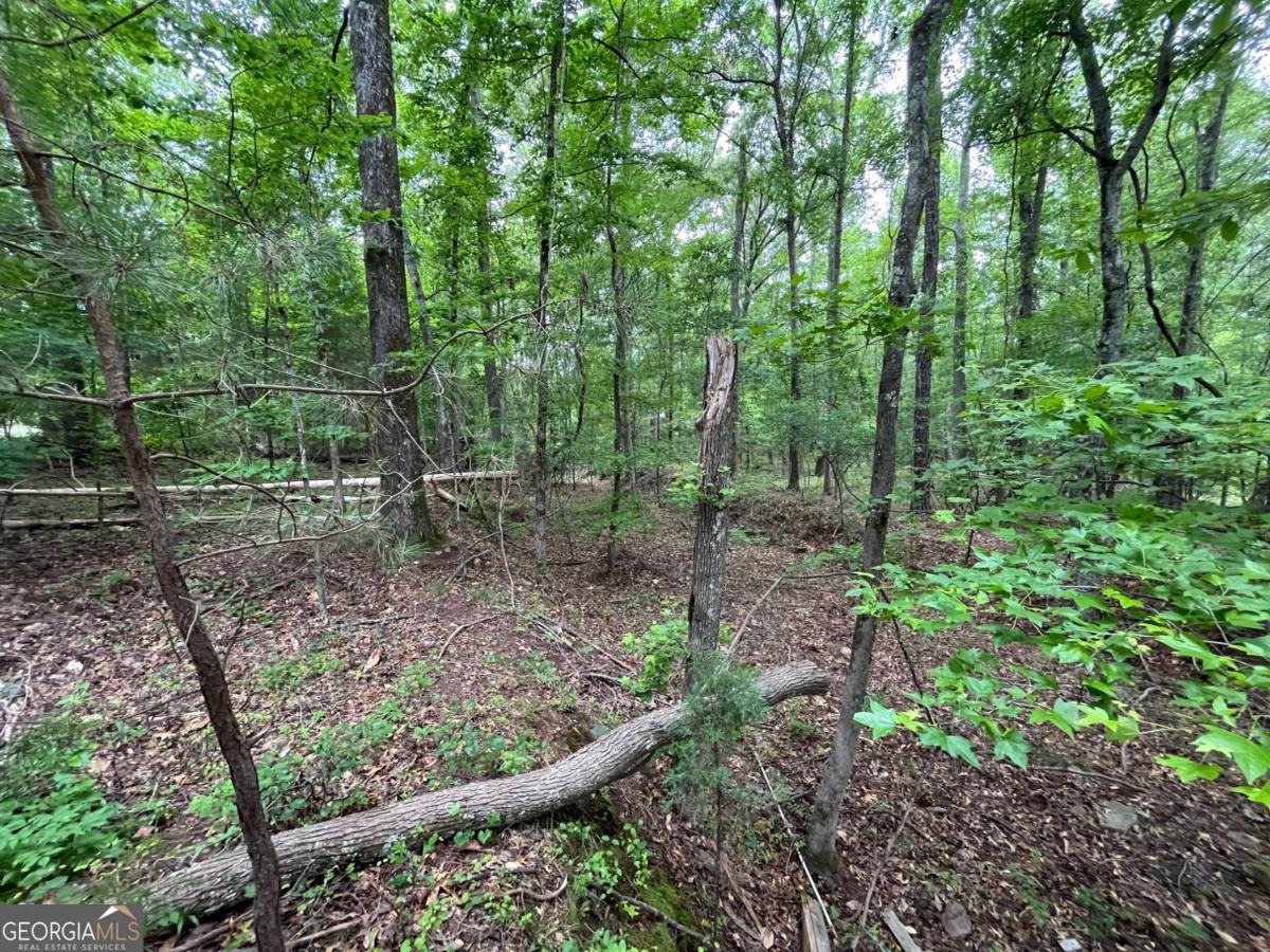 Premium Fayette County building lot, sought-after schools, mature Magnolia and Oak trees provide instant privacy and reduction of road noise, and property offers plenty of options for placement of your dream home. Existing structure is a tear-down, with Southern Homes providing a customizable floor plan for potential construction. Available one-closing, construction to perm financing and start to finish builder guidance. Schedule your property visit today!