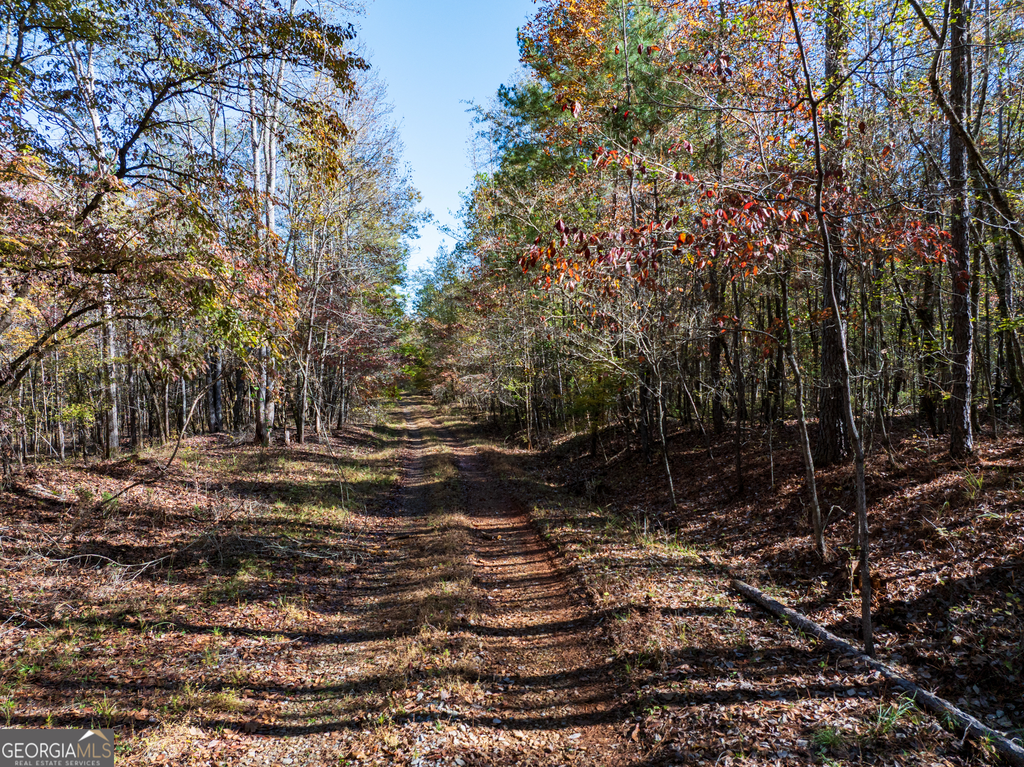 69.98 ACRES Saxon Mattox RD