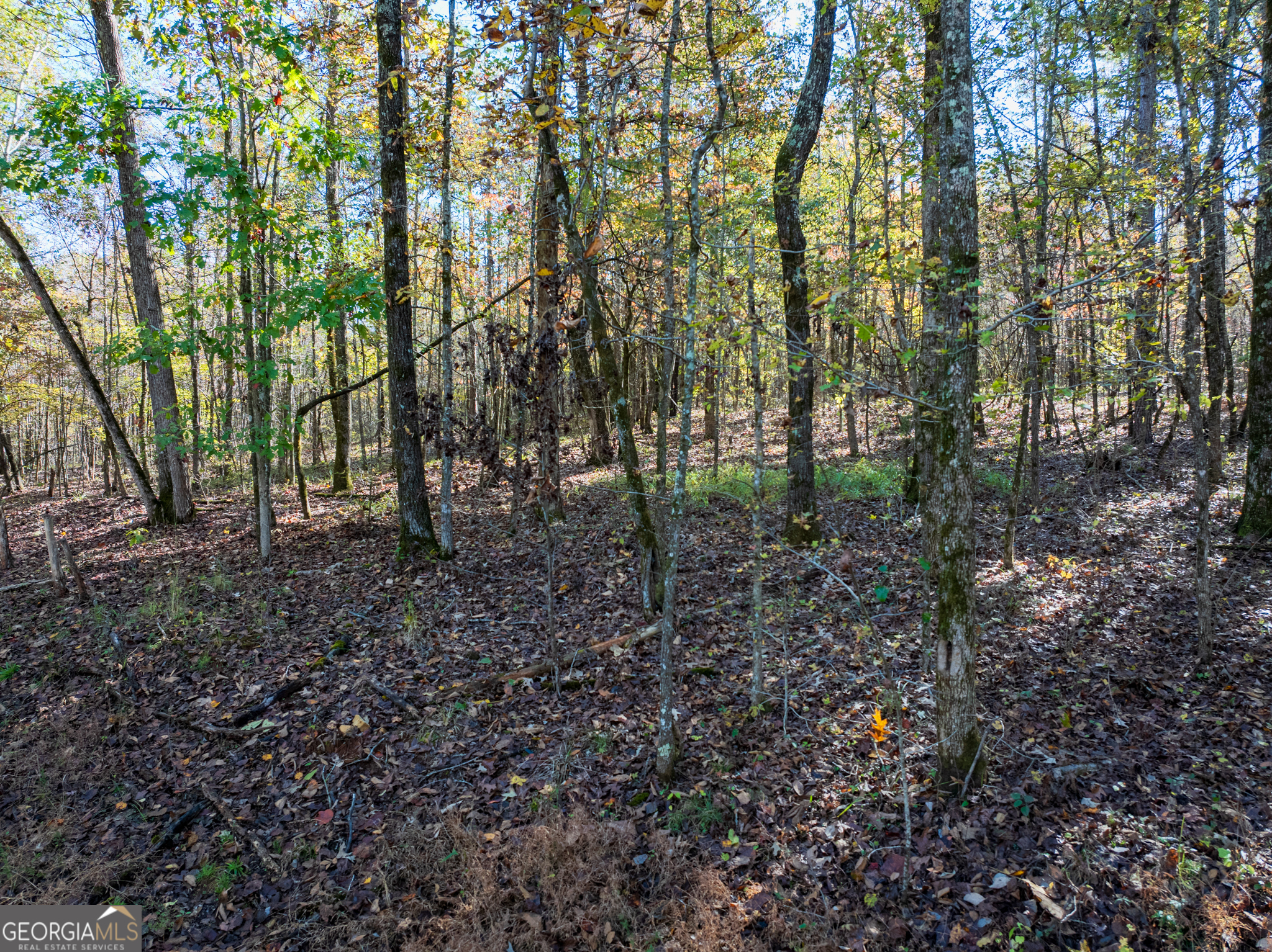 69.98 ACRES Saxon Mattox RD