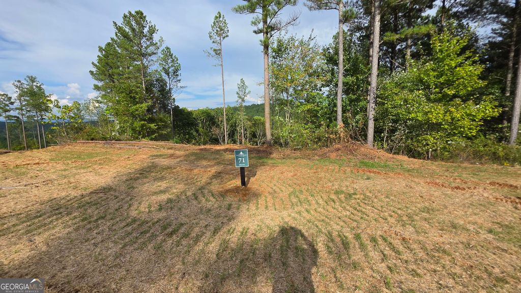 Photo of 71 Elkton Court, Ellijay, GA 30540 (MLS # 10682243)