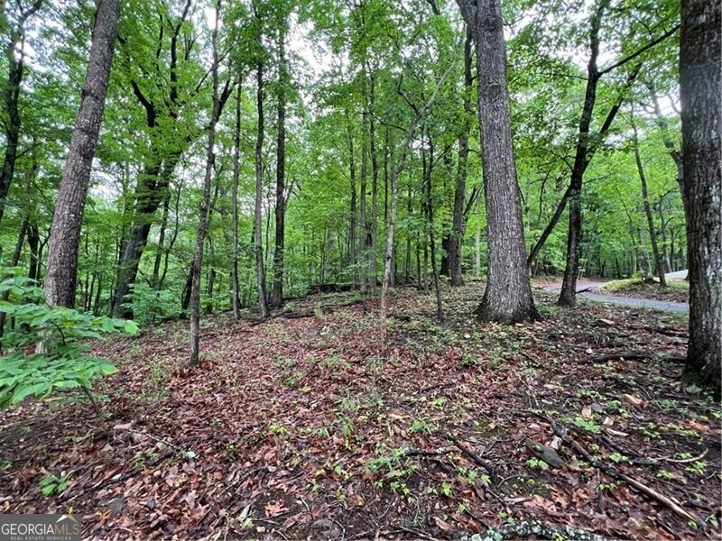 0 Sassafras CT
