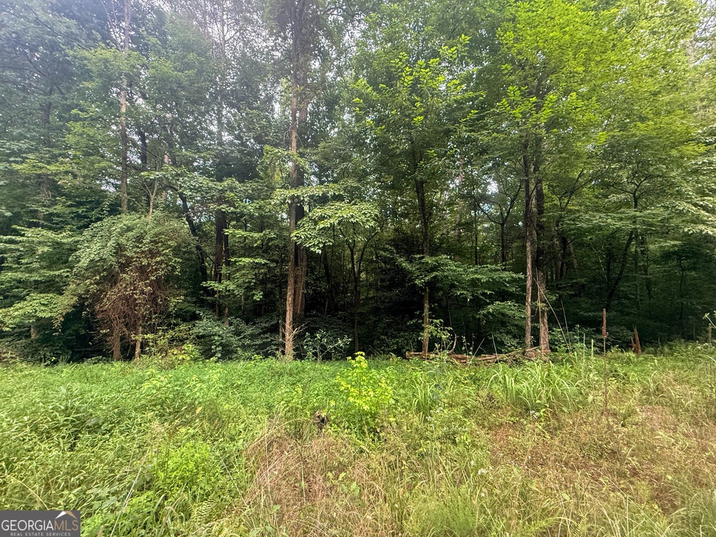 Photo of 0 Jesses Run, Ellijay, GA 30536 (MLS # 10841222)