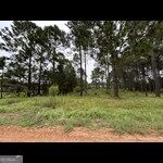 Photo of 165 Creekside Way, Metter, GA 30439 (MLS # 10852894)
