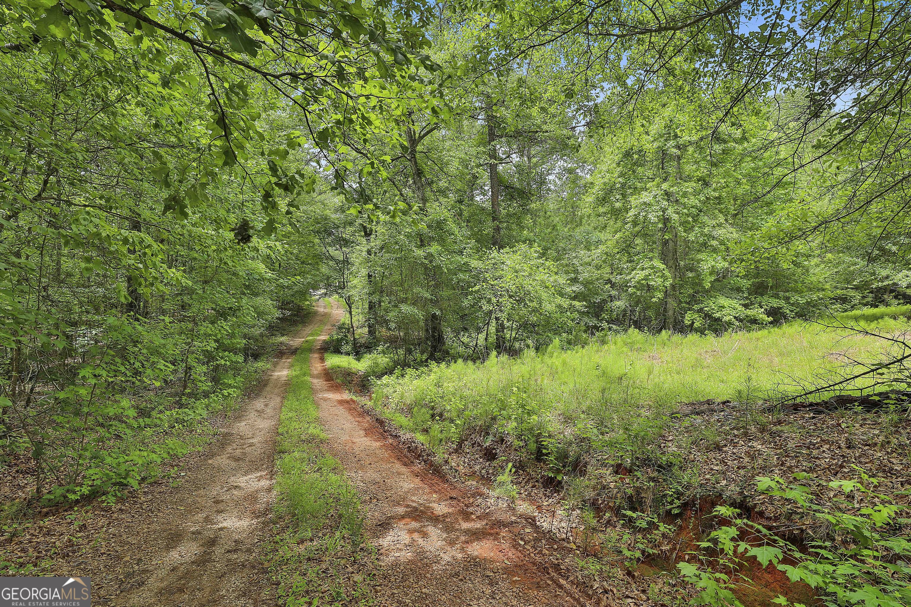 525 Polk RD