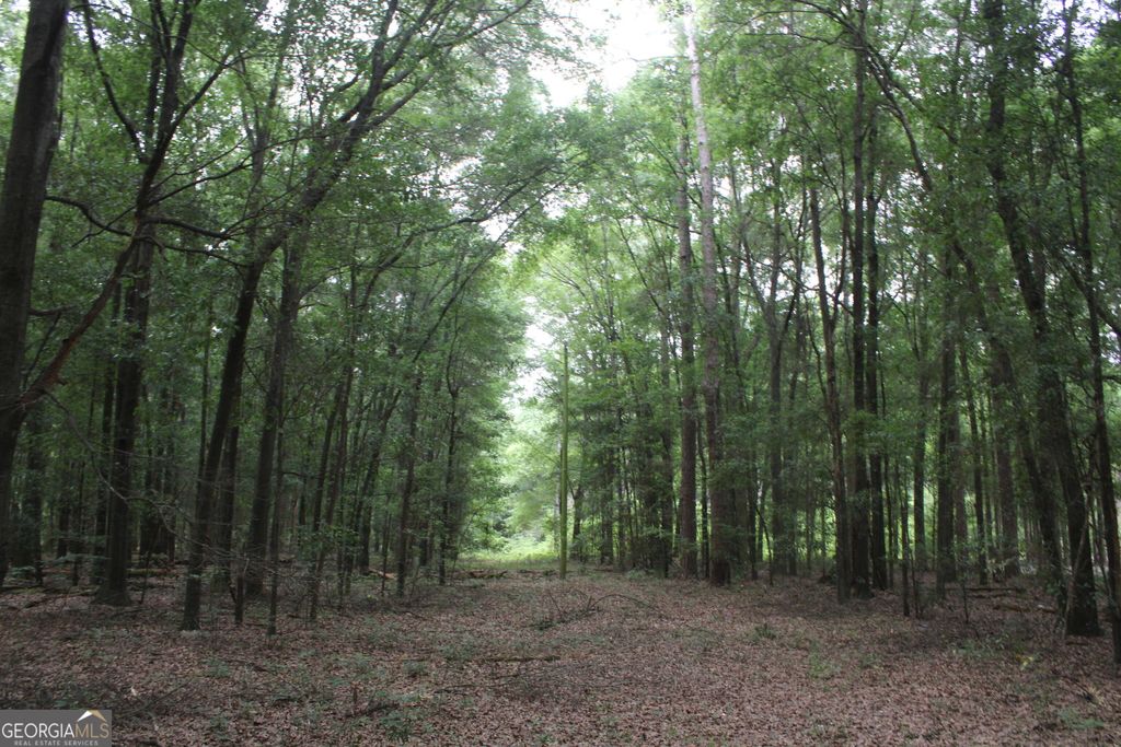 Photo of 0 S State Route 49 Road, Oglethorpe, GA 31068 (MLS # 10758403)