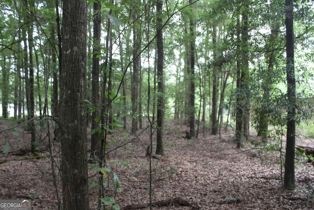 Photo of 0 S State Route 49 Road, Oglethorpe, GA 31068 (MLS # 10758403)