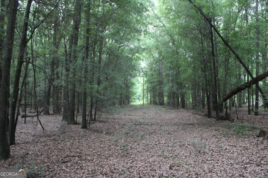 Photo of 0 S State Route 49 Road, Oglethorpe, GA 31068 (MLS # 10758403)
