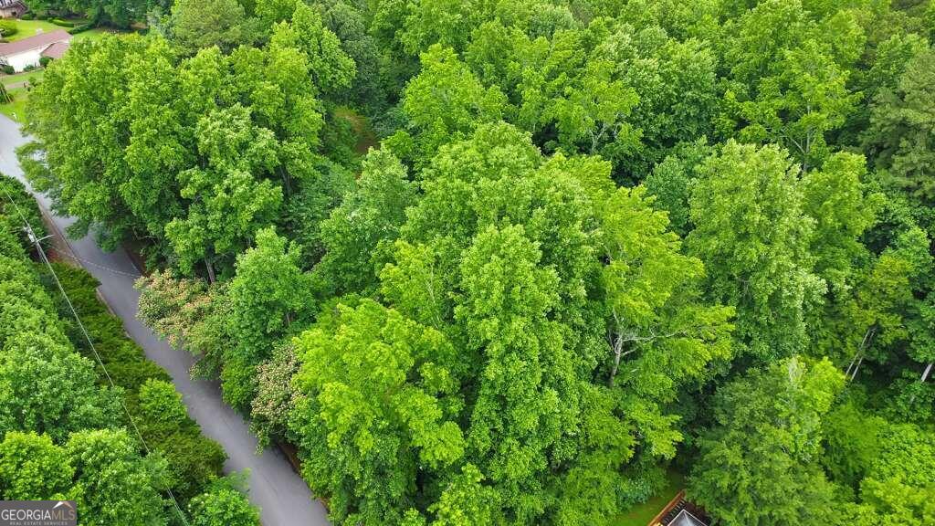 Welcome to an extraordinary opportunity in Marietta! Nestled on 1.2 acres, this hidden gem is the perfect site to build your private retreat. Enjoy the tranquility and privacy of your personal oasis while being just moments away from abundant shopping and dining options, as well as convenient access to I-75, I-575 and, Town Center Mall. Discover the boundless potential of this property today!