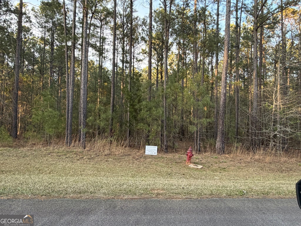 Photo of 00 Mariners Way, Lincolnton, GA 30817 (MLS # 10812613)