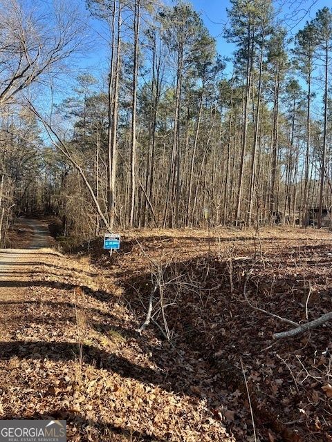 Photo of 139 Fairlane Dr, Martin, GA 30557 (MLS # 10675000)