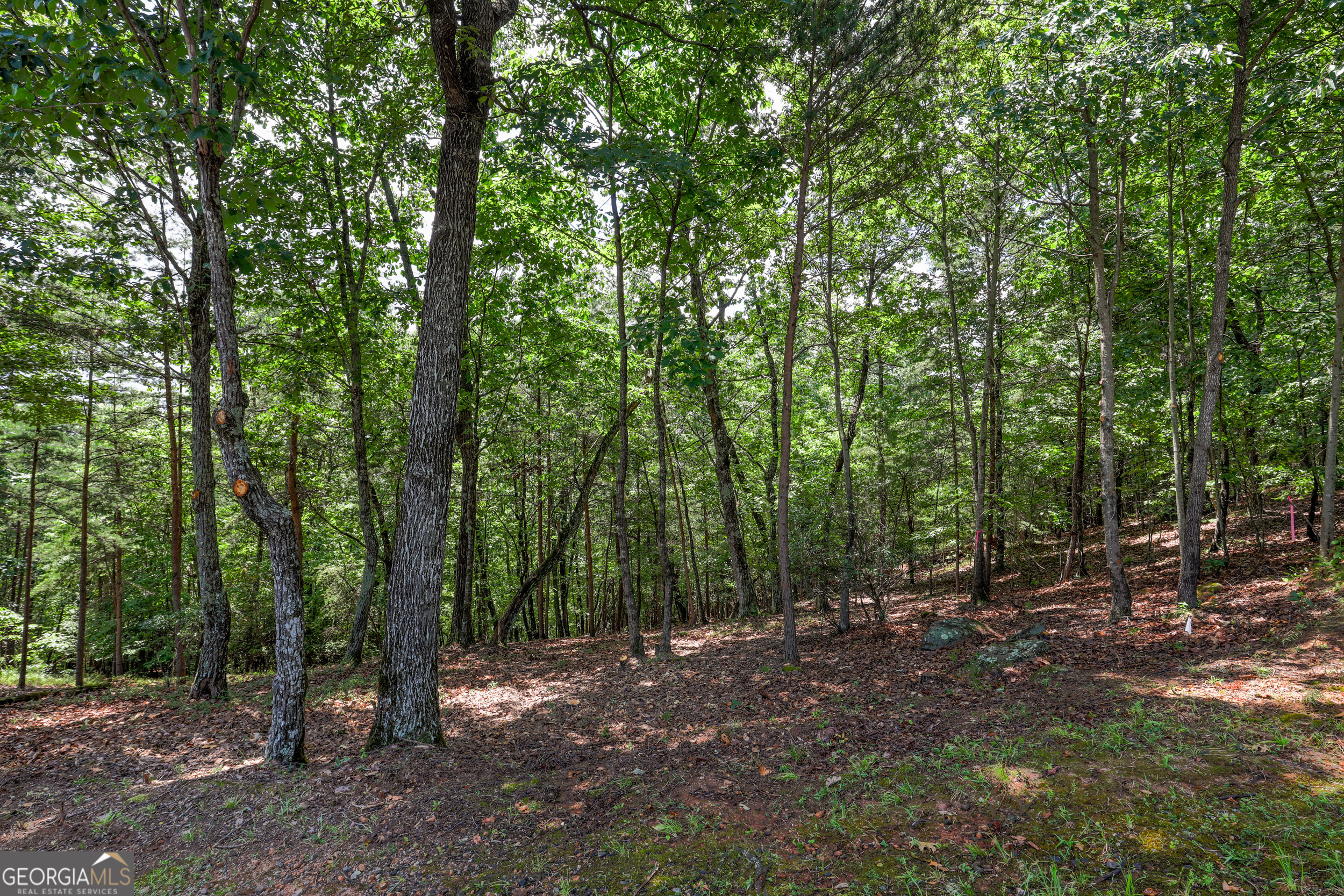 LOT 138 Timber Rock DR